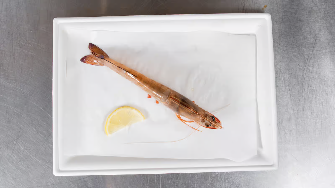 garlic prawn meat