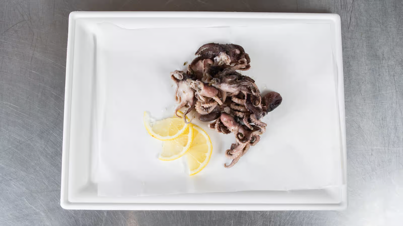 marinated octopus