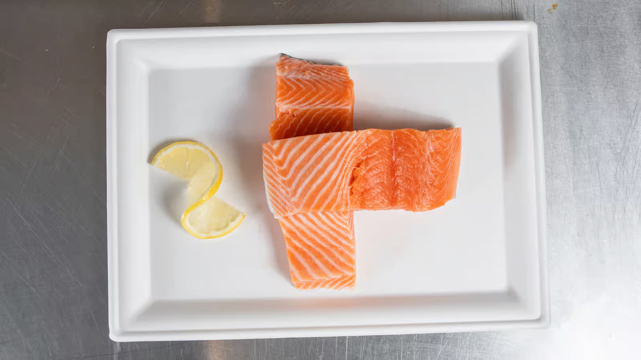 buy ora king salmon noosa