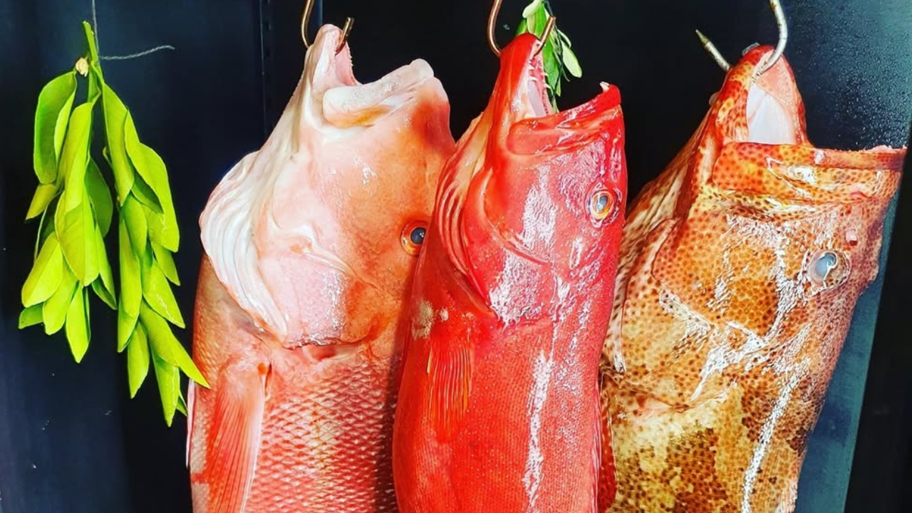 fresh seafood noosa christmas
