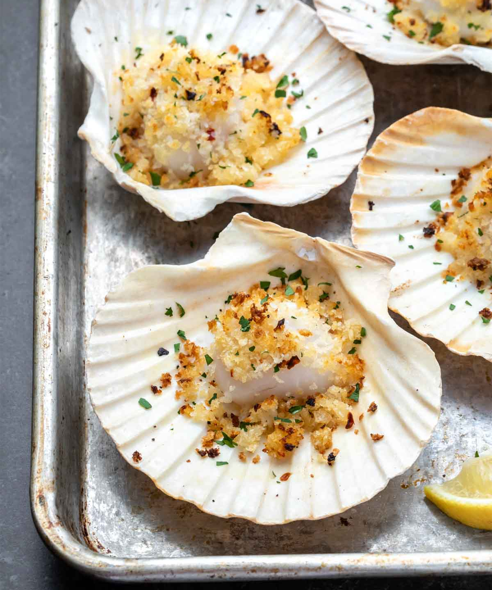 fresh scallops noosa