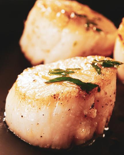 seared scallops seafood noosa style